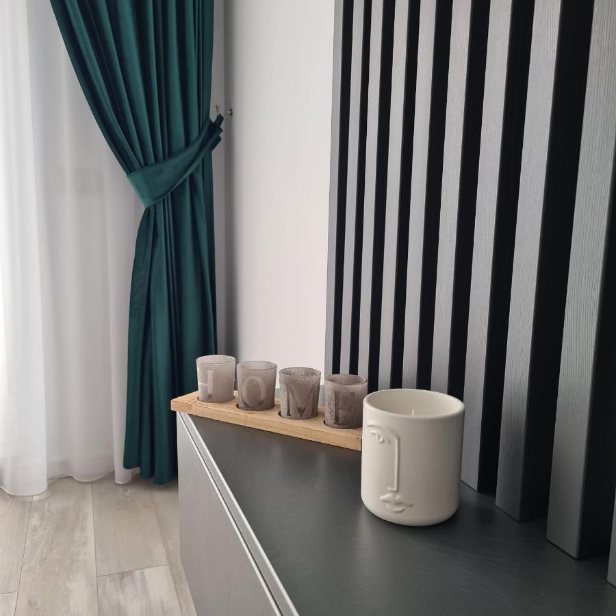 Panoramic Apartment Брашов Экстерьер фото