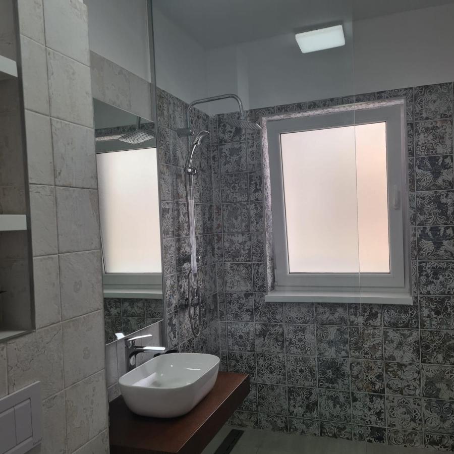 Panoramic Apartment Брашов Экстерьер фото