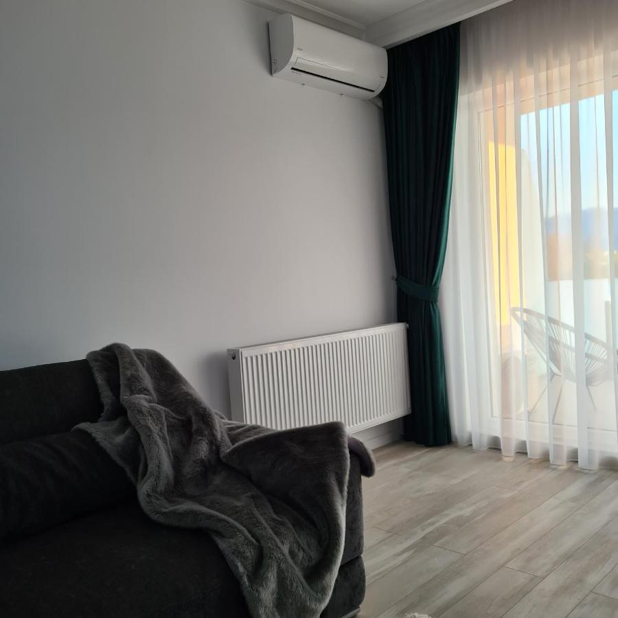Panoramic Apartment Брашов Экстерьер фото